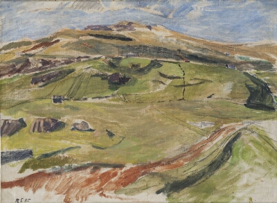 Færøsk landskab