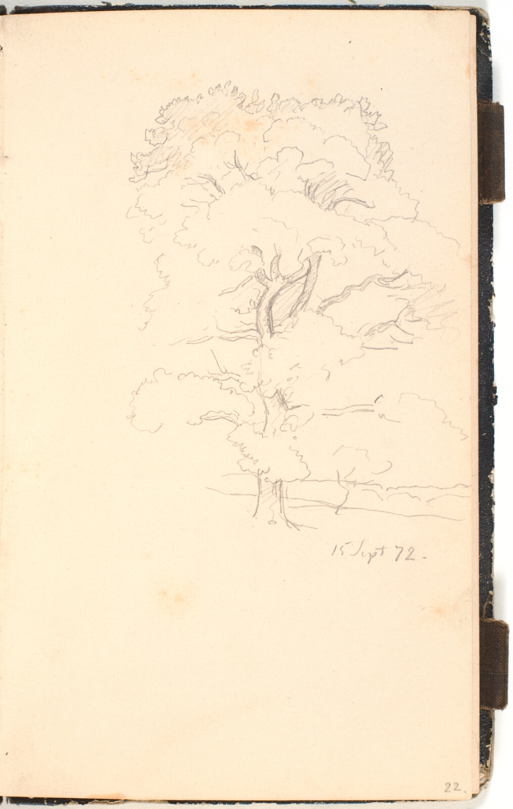 P.C. Skovgaard, Et stort træ, muligvis eg