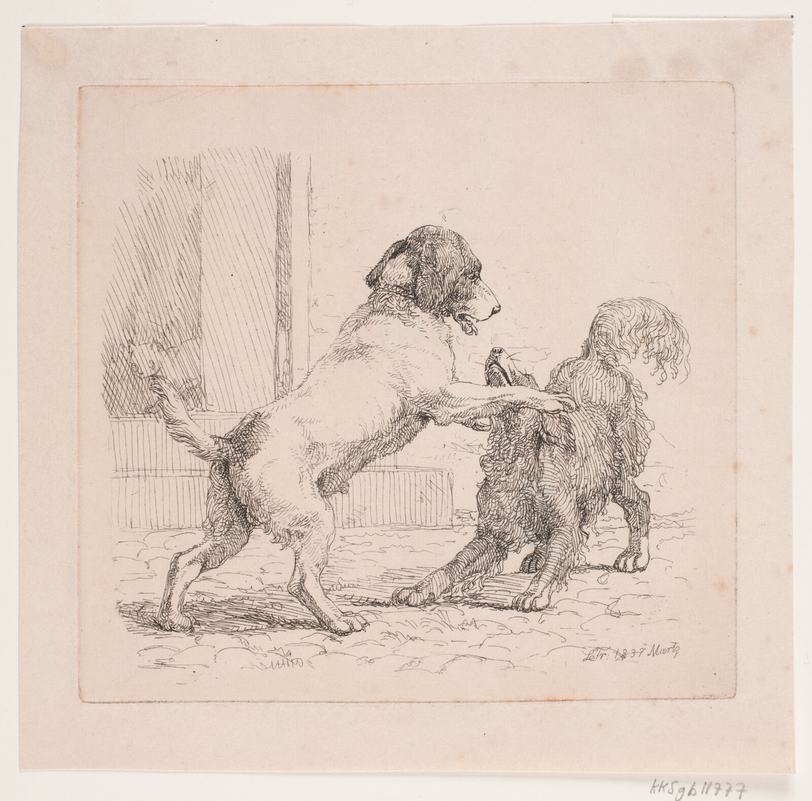 Lorenz Frølich, To legende hunde