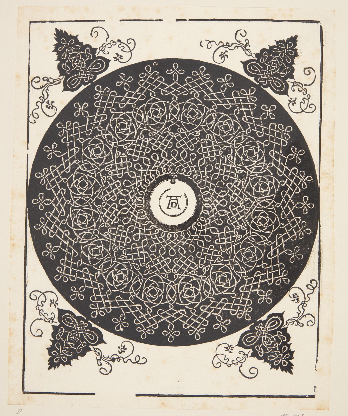 Albrecht Dürer, Knob med hvid medaljon