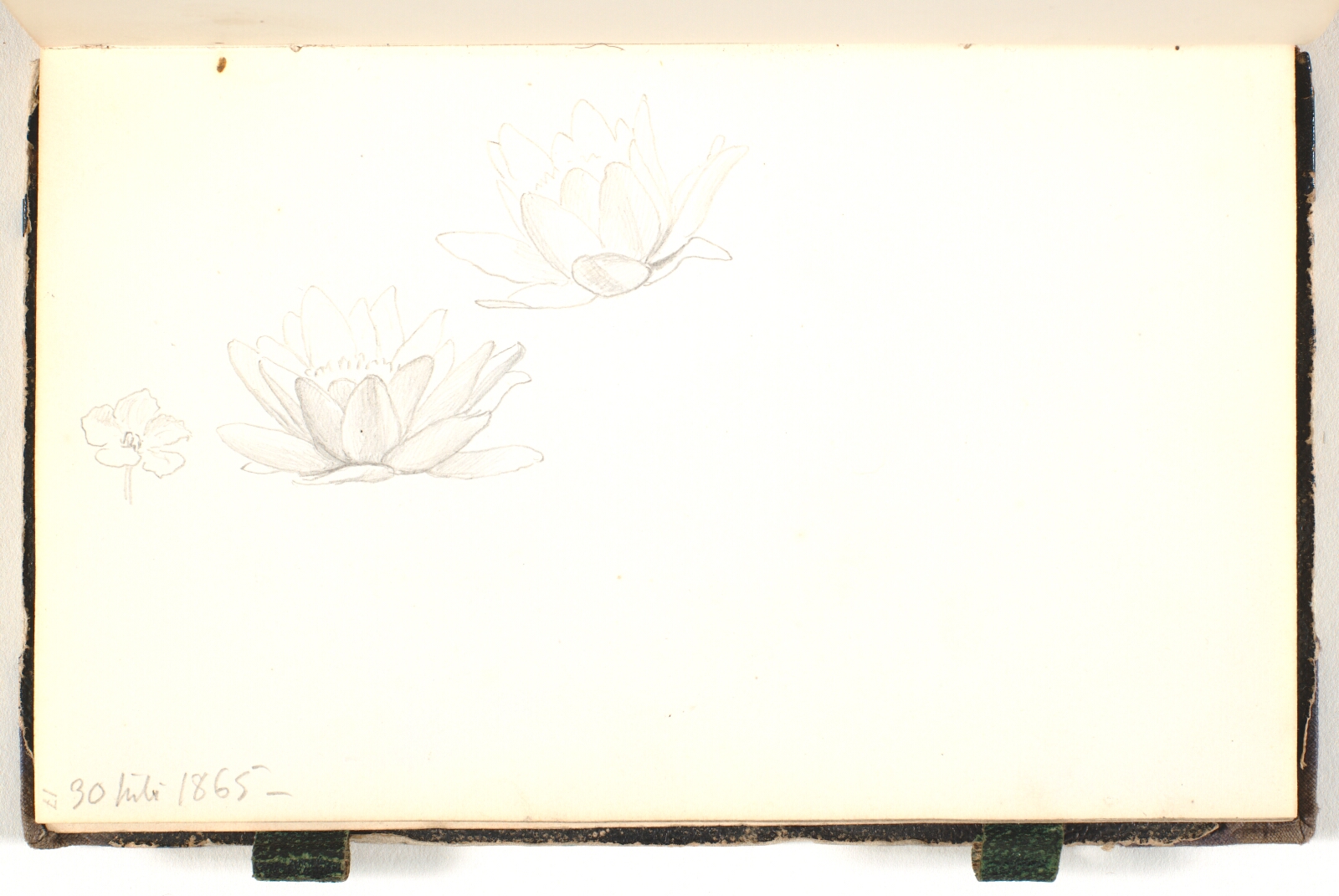 P.C. Skovgaard, Blomsterstudier