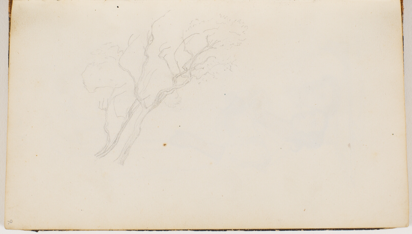 P.C. Skovgaard, To spinkle træer