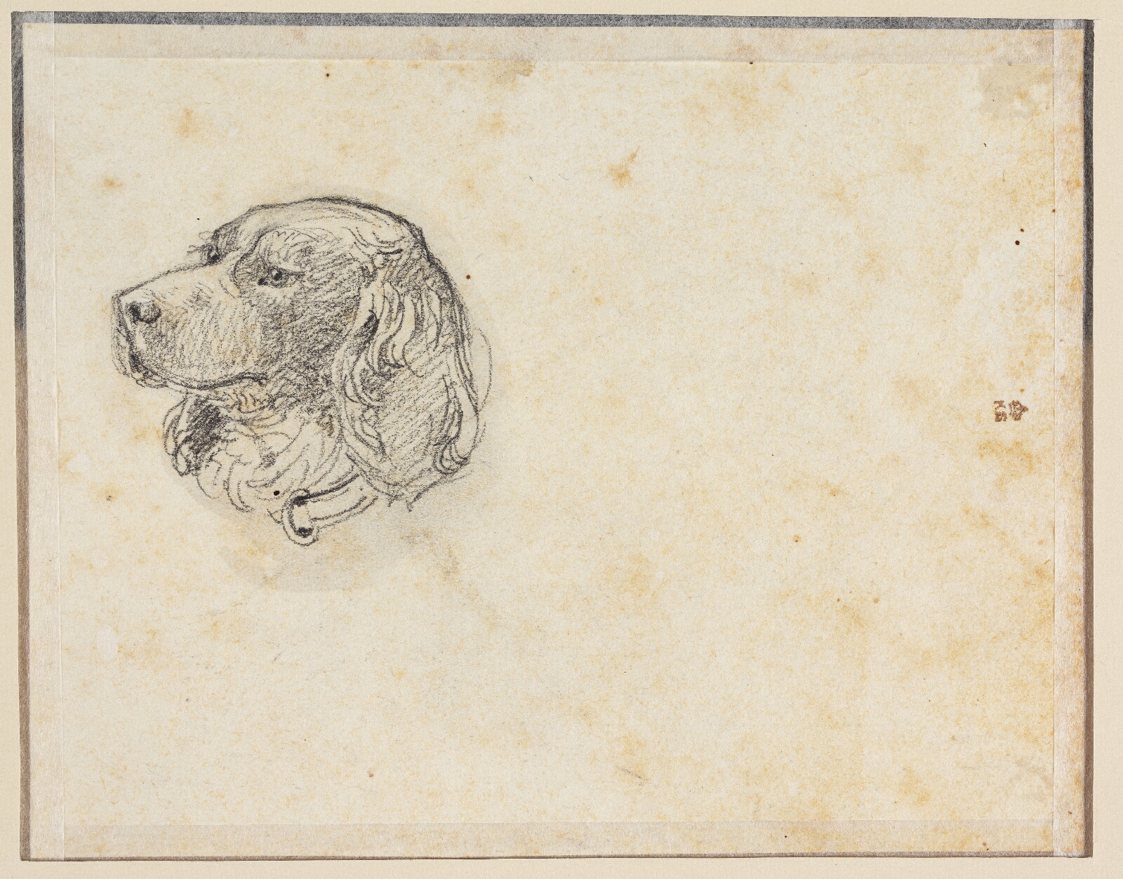 Constantin Hansen, Et hundehoved