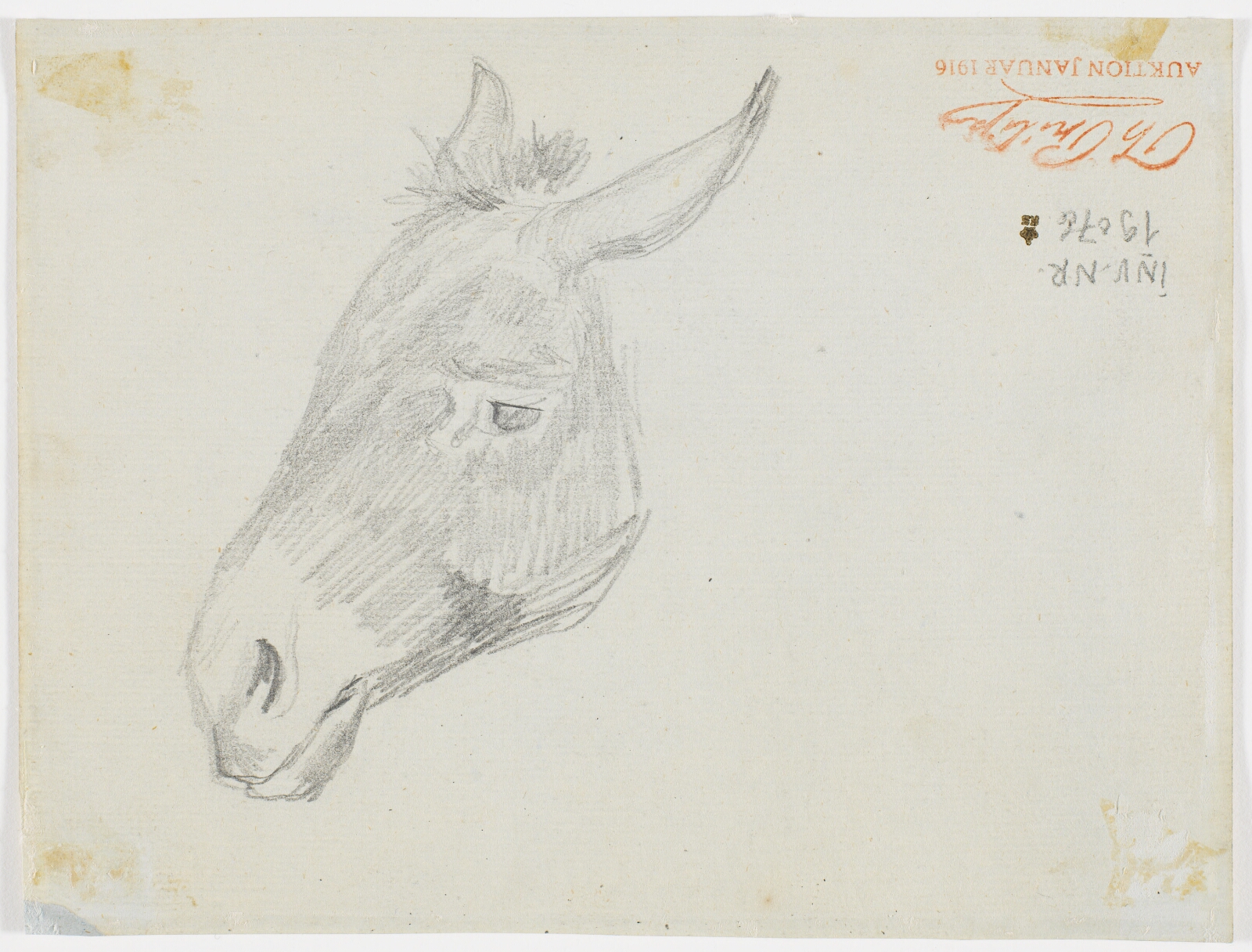 Theodor Philipsen, Muldyr. Italien