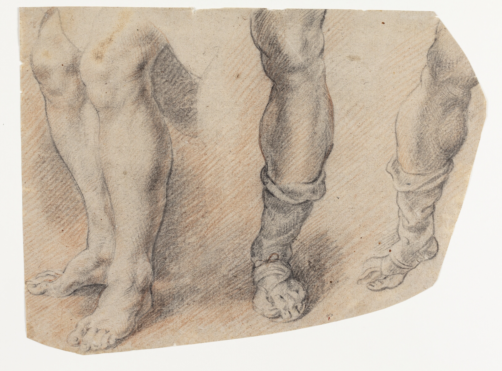 Willem Panneels, Studie af fire ben