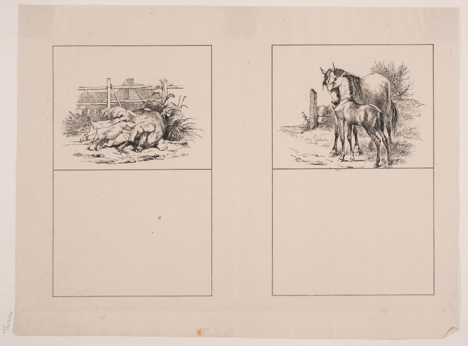 Adolph Kittendorff, Grisene; Hesten og føllet