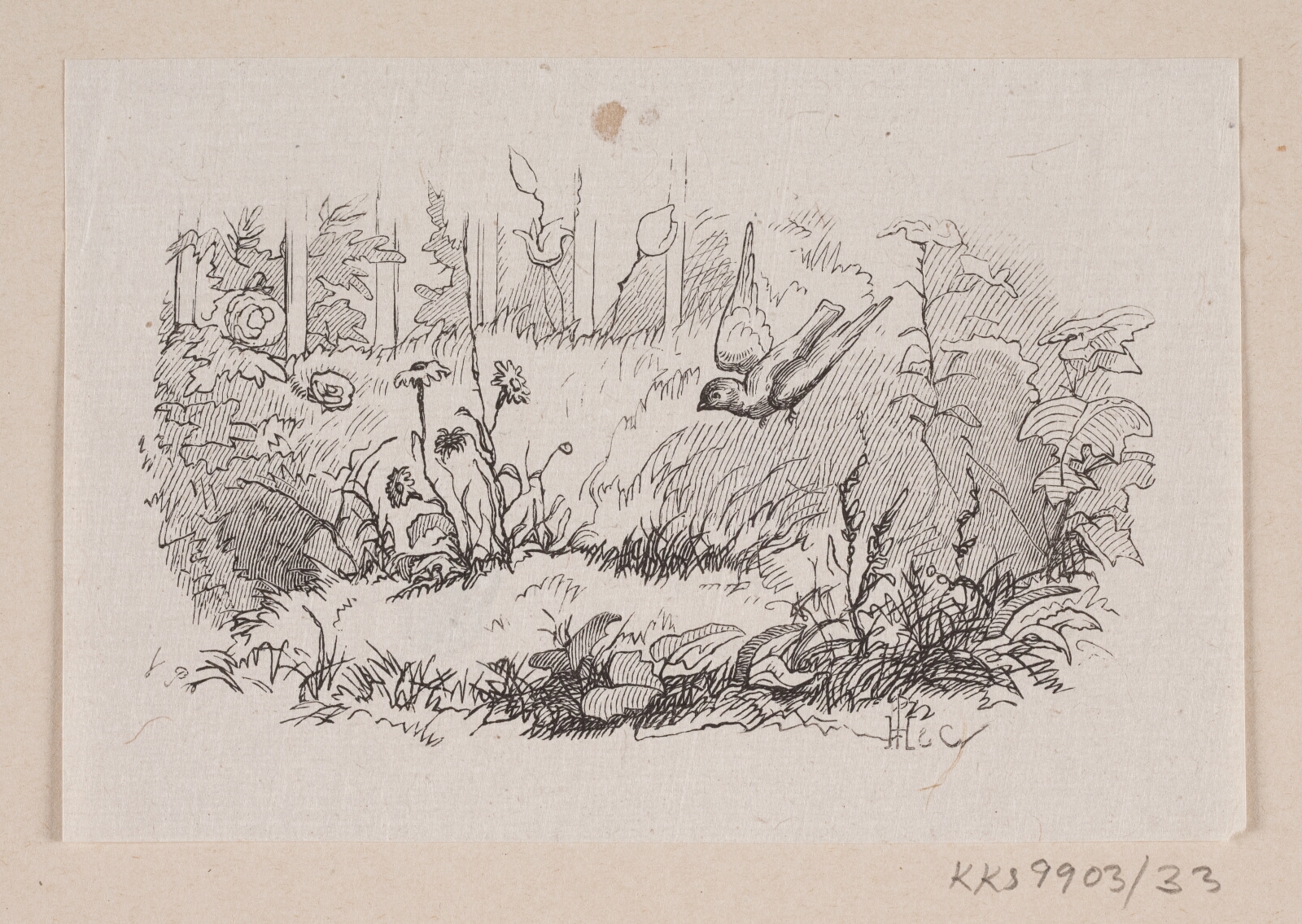 H.P. Hansen, Illustration til "Gaaseurten" i H.C. Andersen, "Eventyr og Historier", Bind 1