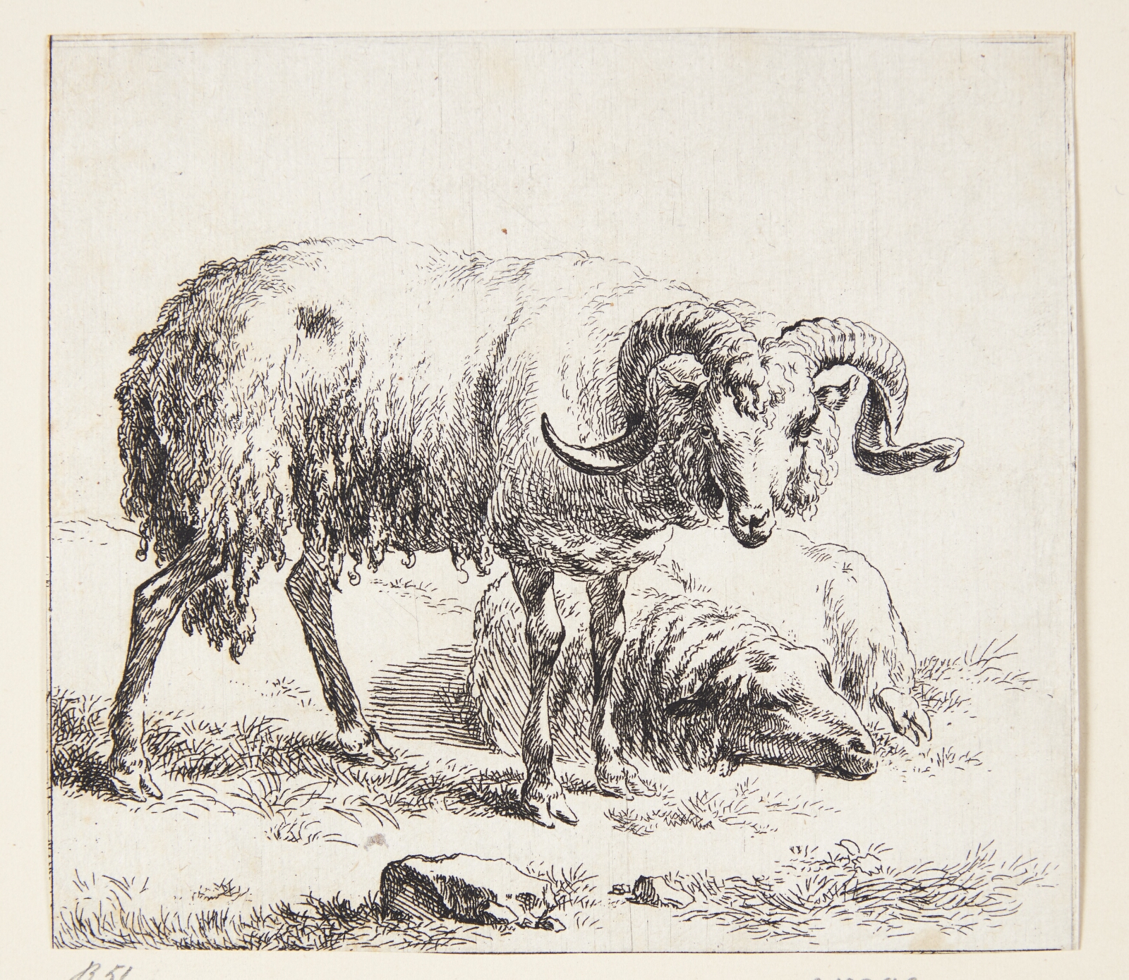 Nicolaes Berchem, Stående vædder og et liggende får