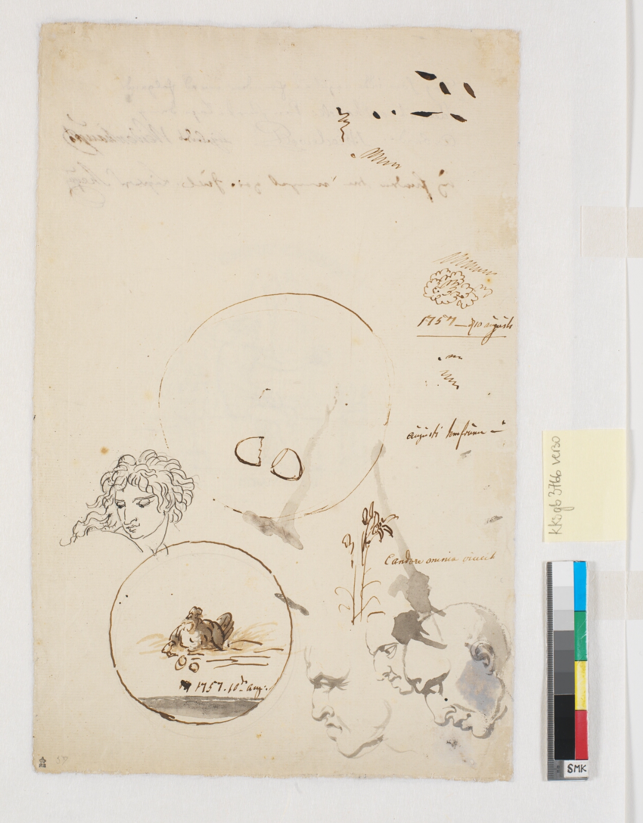 Nicolai Abildgaard, Forskellige udkast, bl.a. af flere hoveder og en høne med to [?] placeret i en cirkel