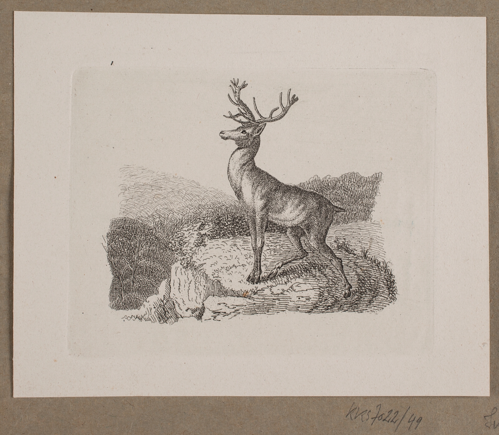 Vilhelm Kyhn, Illustration til O. Specter, "Fabler for Børn"