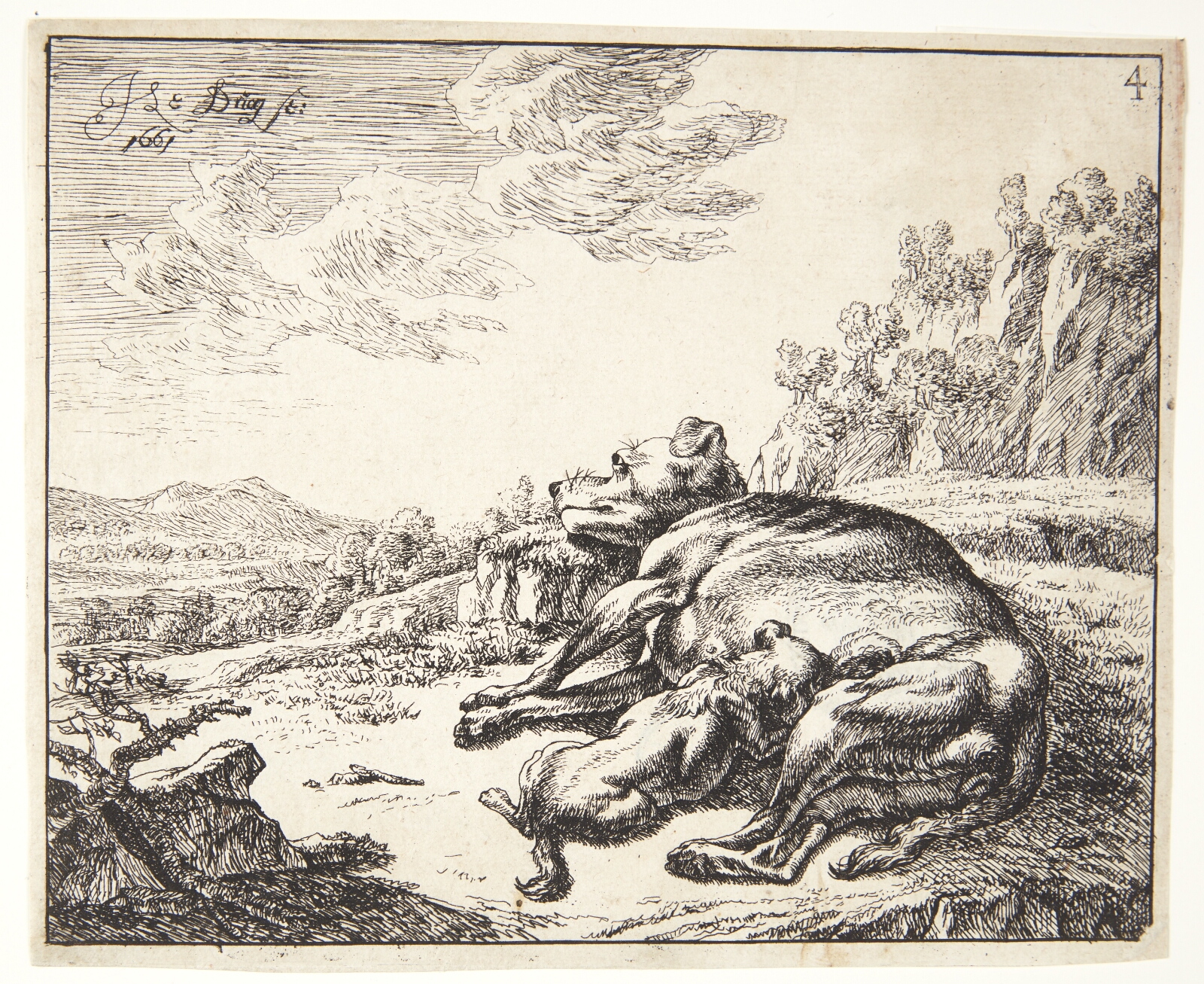 Johan le Ducq, Tæve, som ammer sine hvalpe