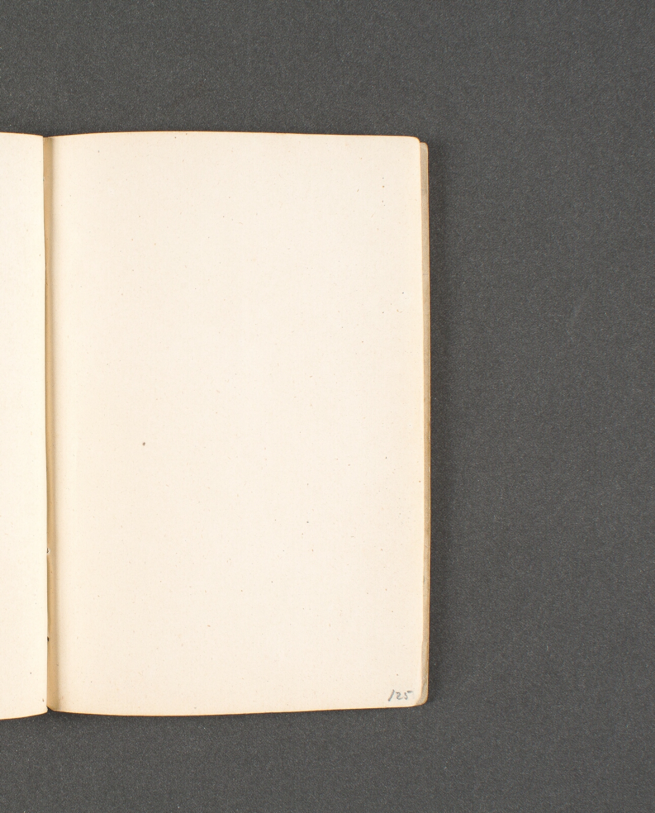 Johan Thomas Lundbye, Blank