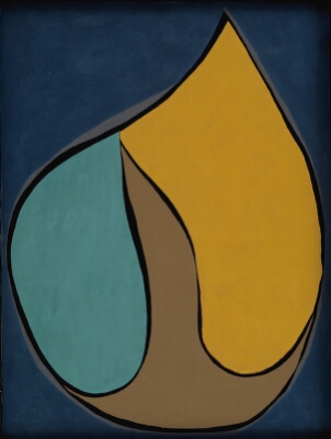 Rab XIV