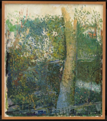 Oak Tree, Skejten