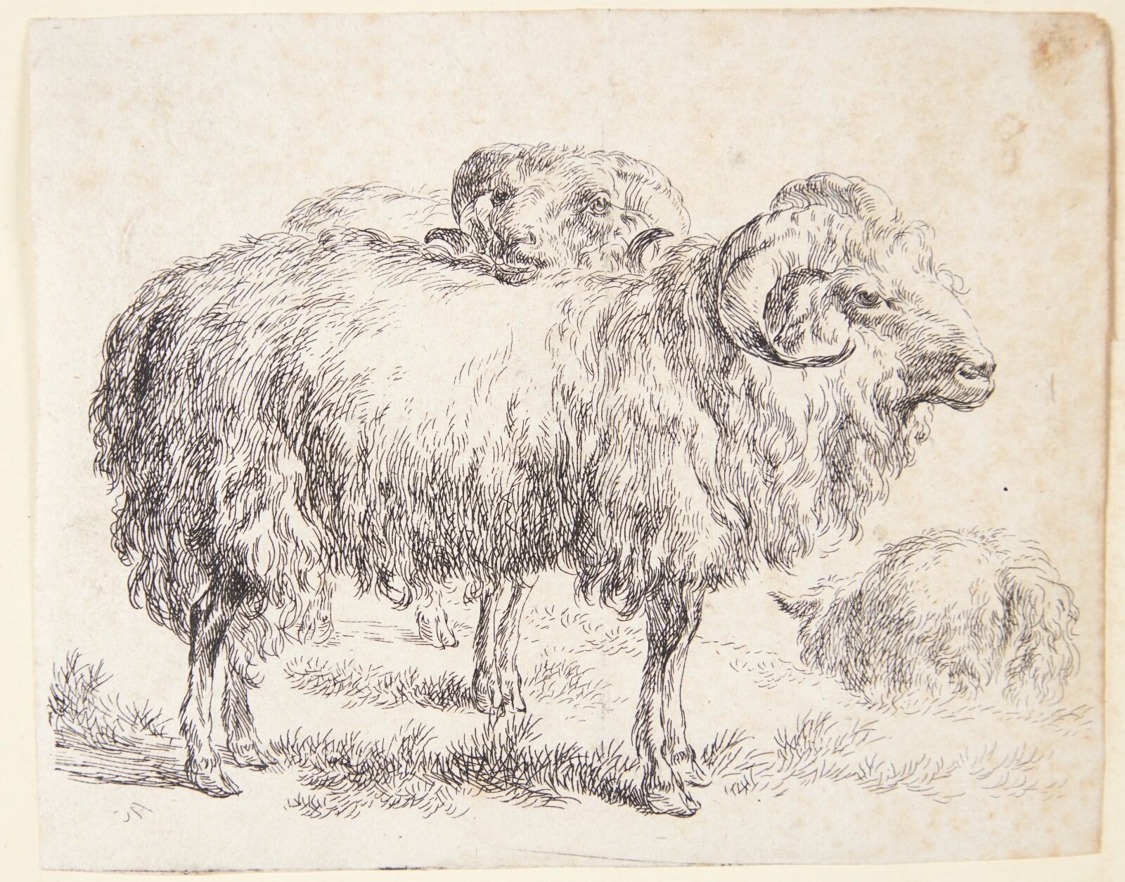 Nicolaes Berchem, To væddere