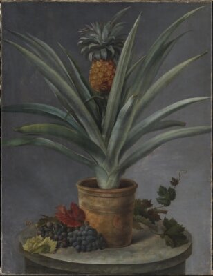 En ananas i urtepotte og druer på et stenbord