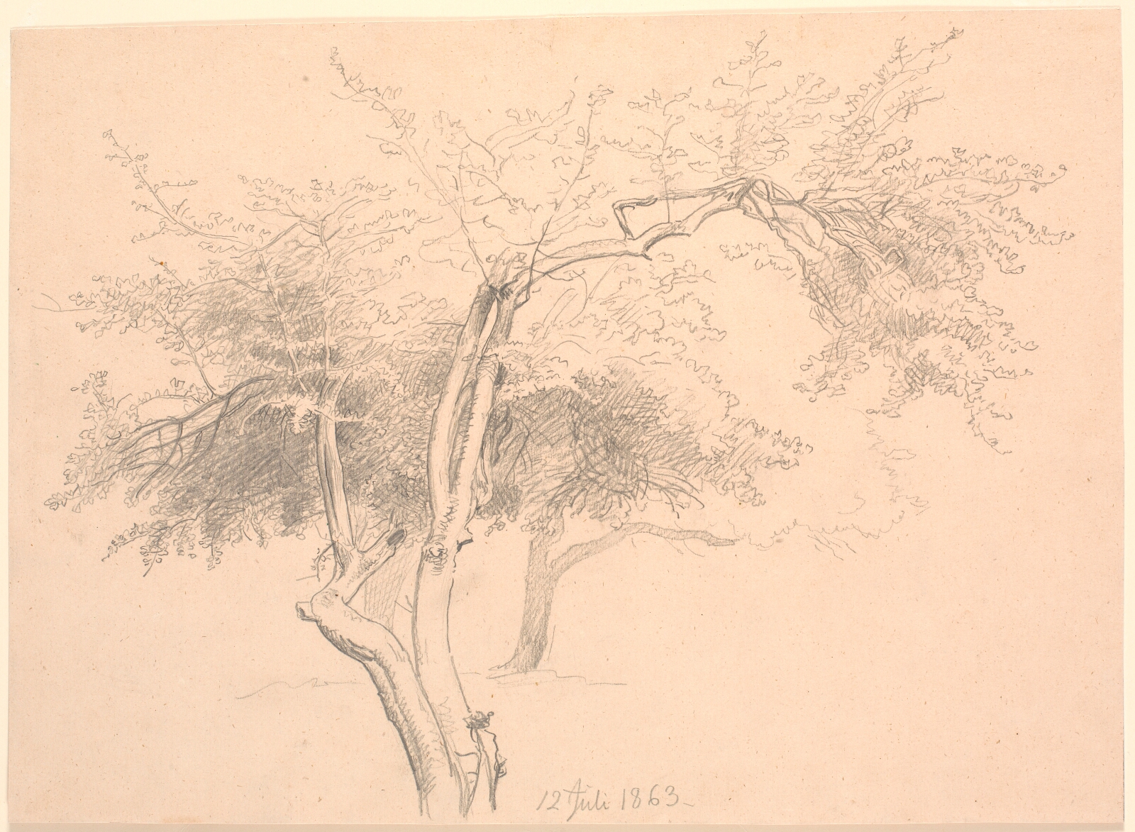 P.C. Skovgaard, Studie af trætoppe.
