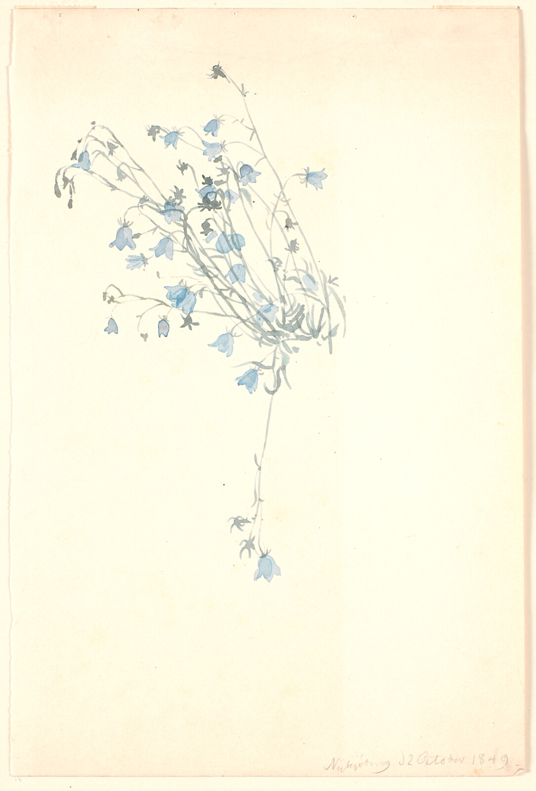 P.C. Skovgaard, Klokkeblomster.
