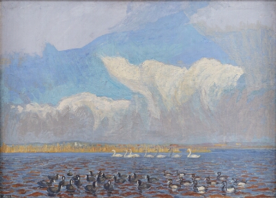 Blishøns, troldænder og svaner. Bygevejr