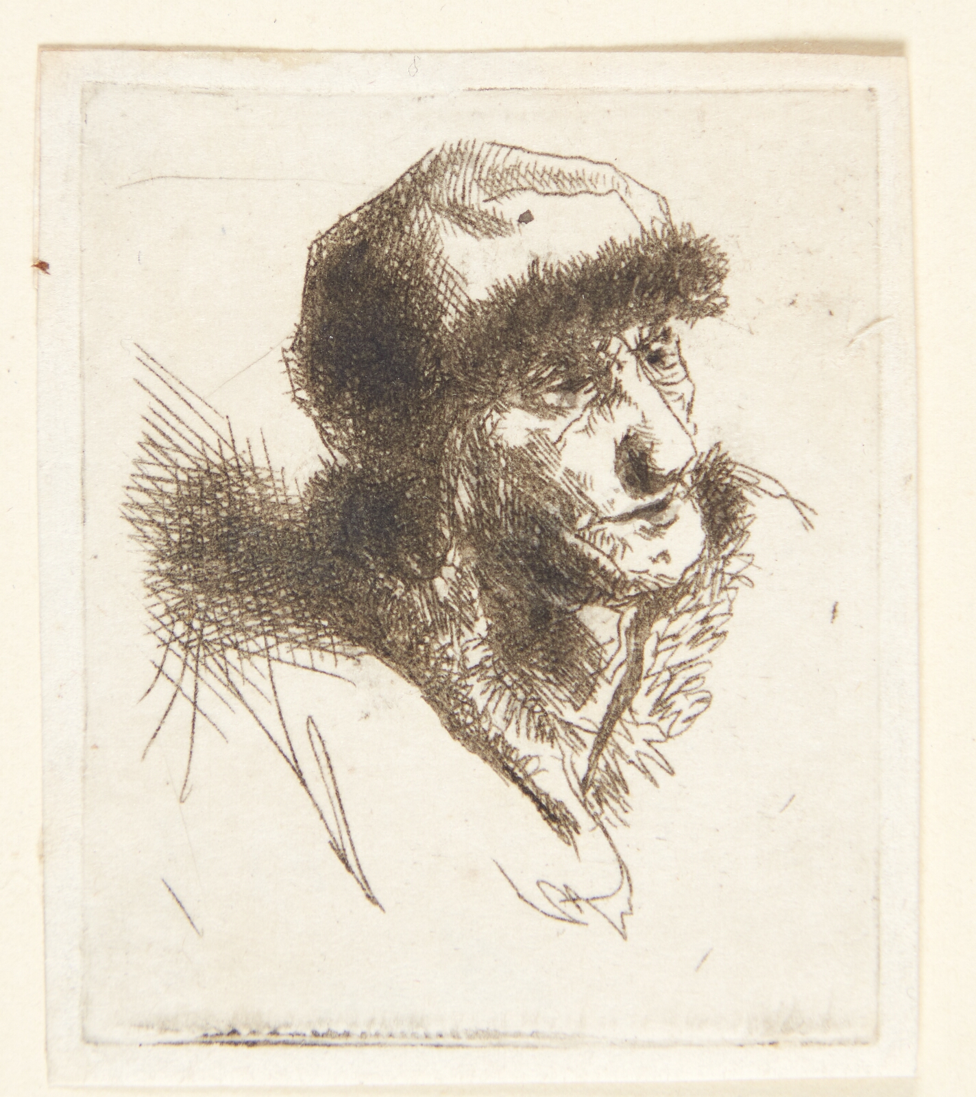 Cornelis Pietersz Bega, Gammel kvinde med pelshue