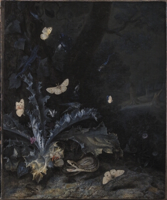Still Life with Thistle and Snake