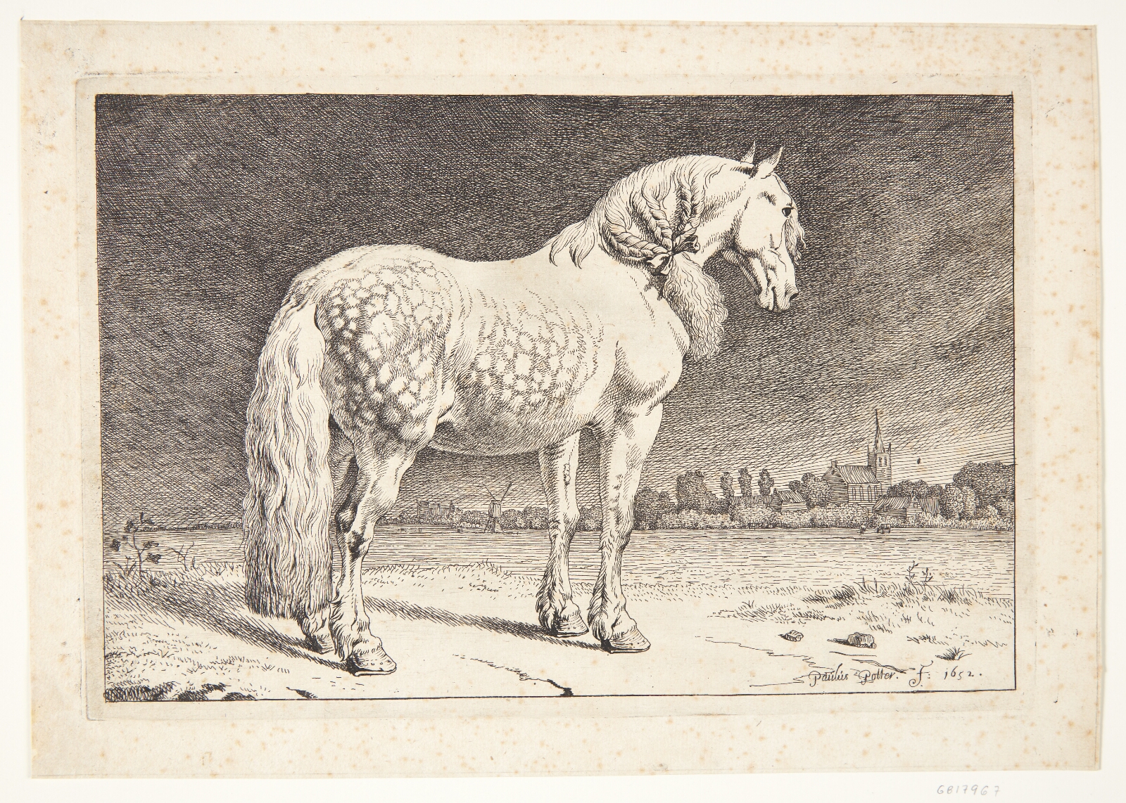 Paulus Potter, En frieserhest