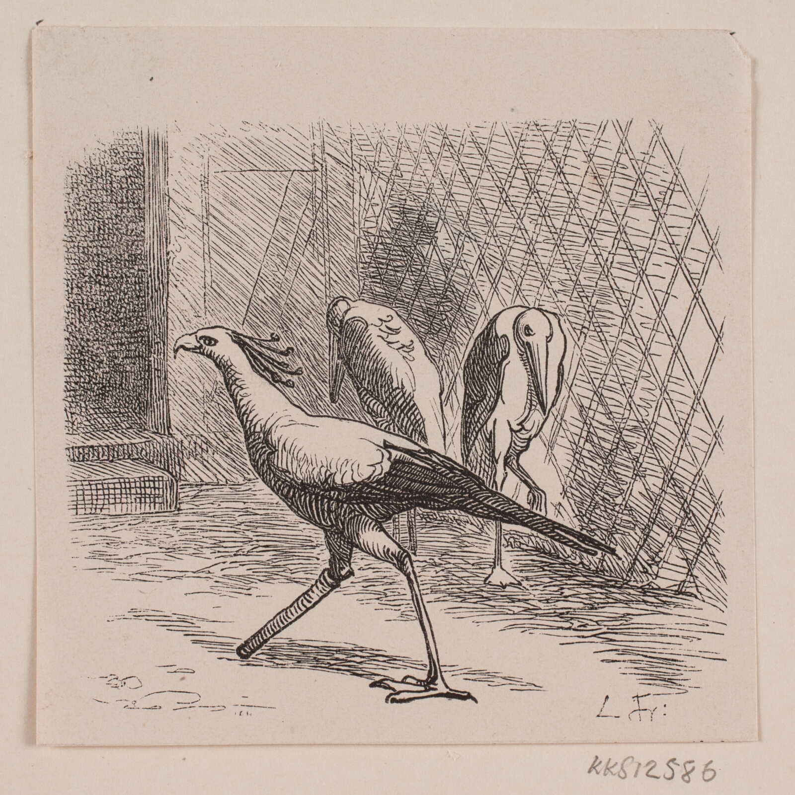Lorenz Frølich, Sekretær i Jardin des Plantes