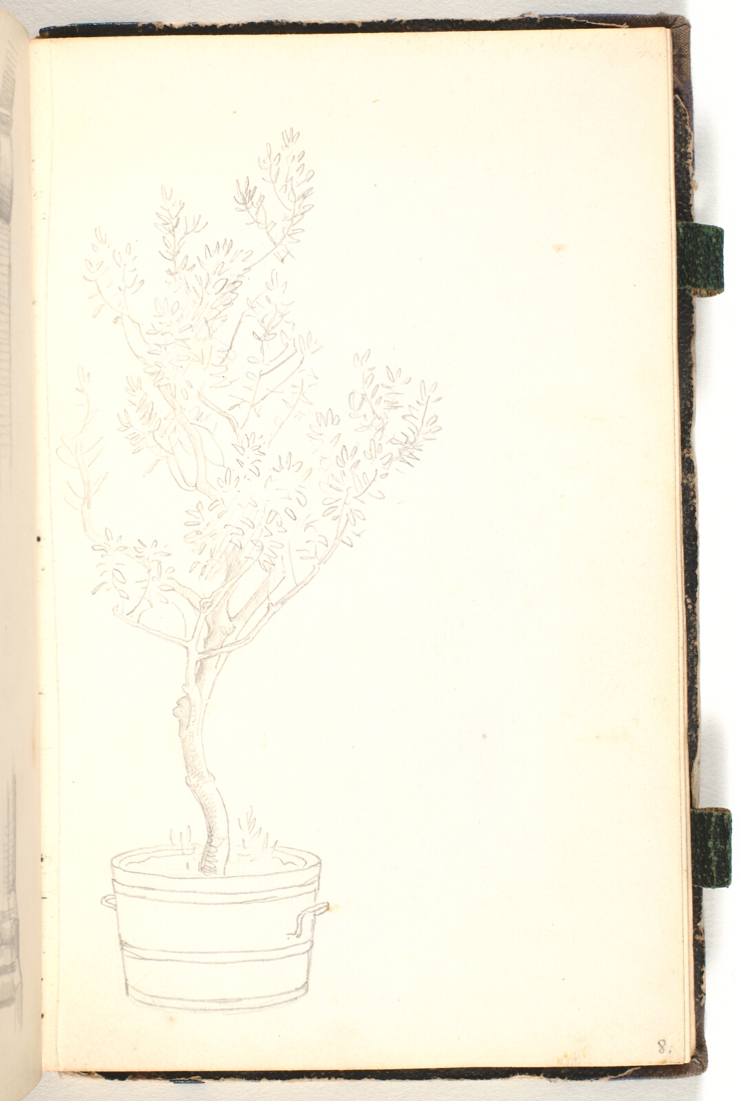 P.C. Skovgaard, Balje, hvori der vokser et træ