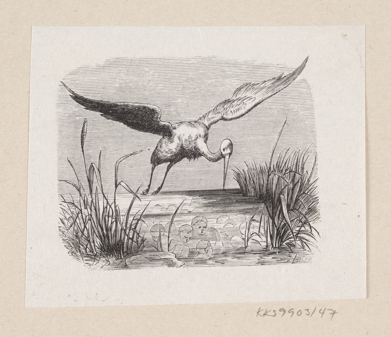 H.P. Hansen, Illustration til "Storkene" i H.C. Andersen, "Eventyr og Historier", Bind 1
