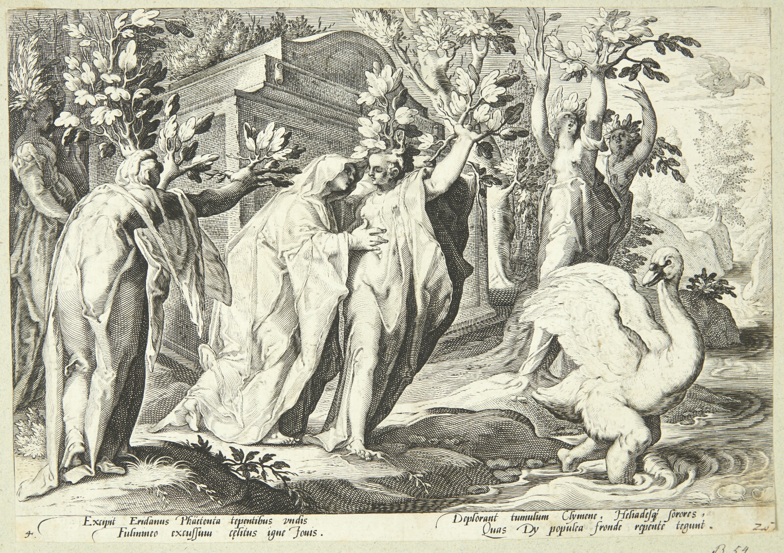 Hendrick Goltzius, Faetons søstre forvandles til poppeltræer og Cygnus til en svane