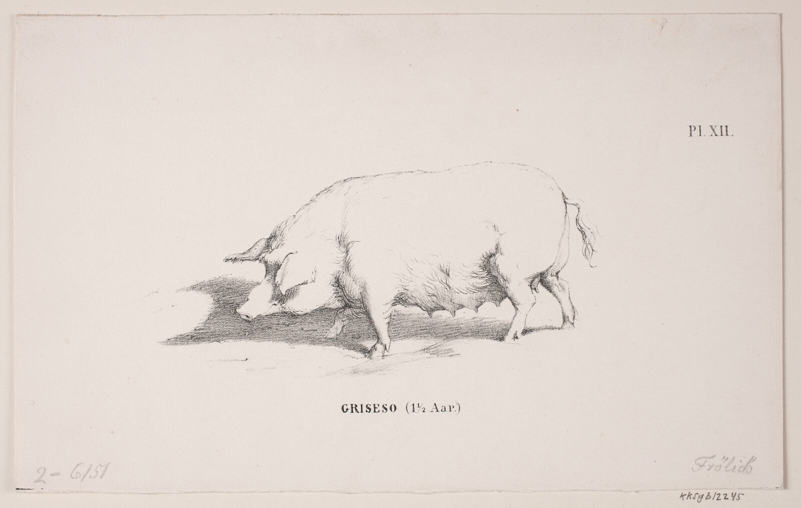 Lorenz Frølich, Griseso