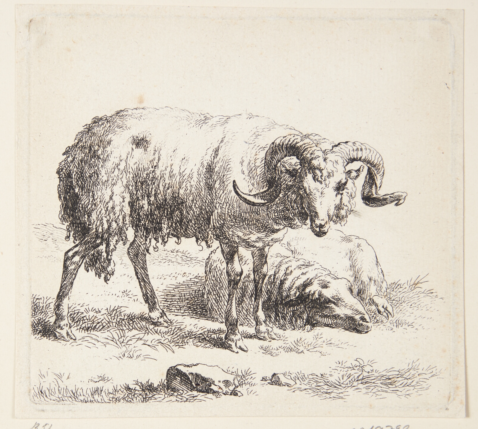 Nicolaes Berchem, Stående vædder og et liggende får