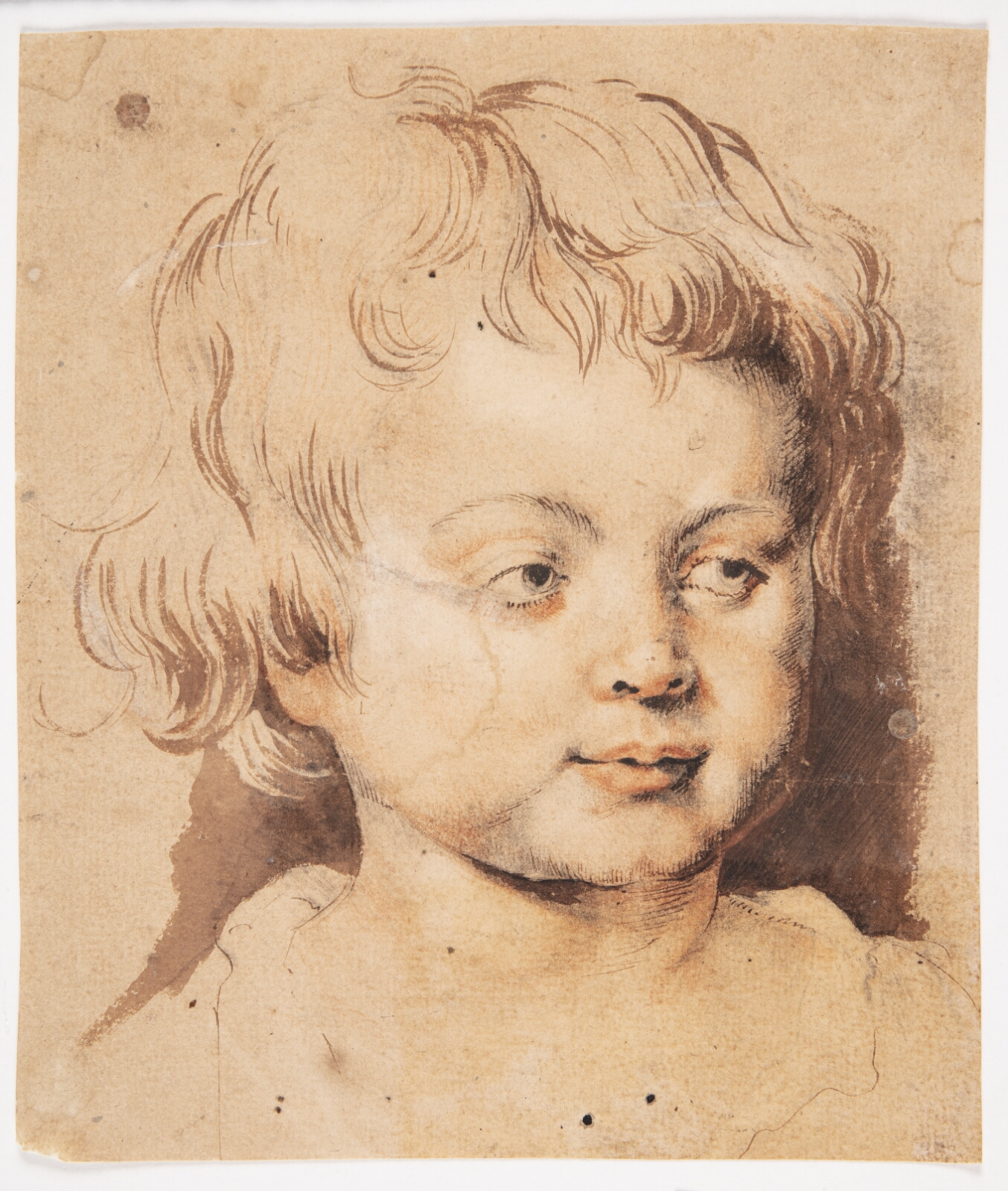 Peter Paul Rubens, Barnehoved