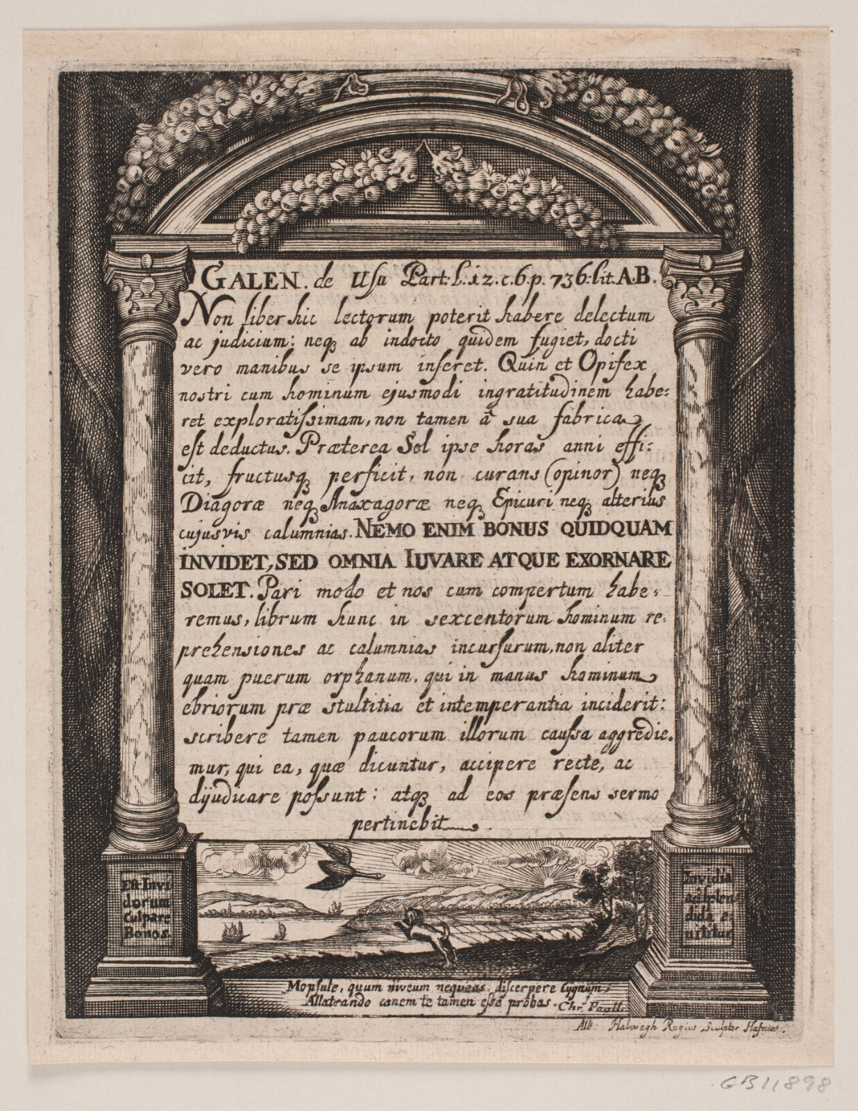 Albert Haelwegh, Illustration til Simon Paulli, "Quadripartitum Botanicum", 1667