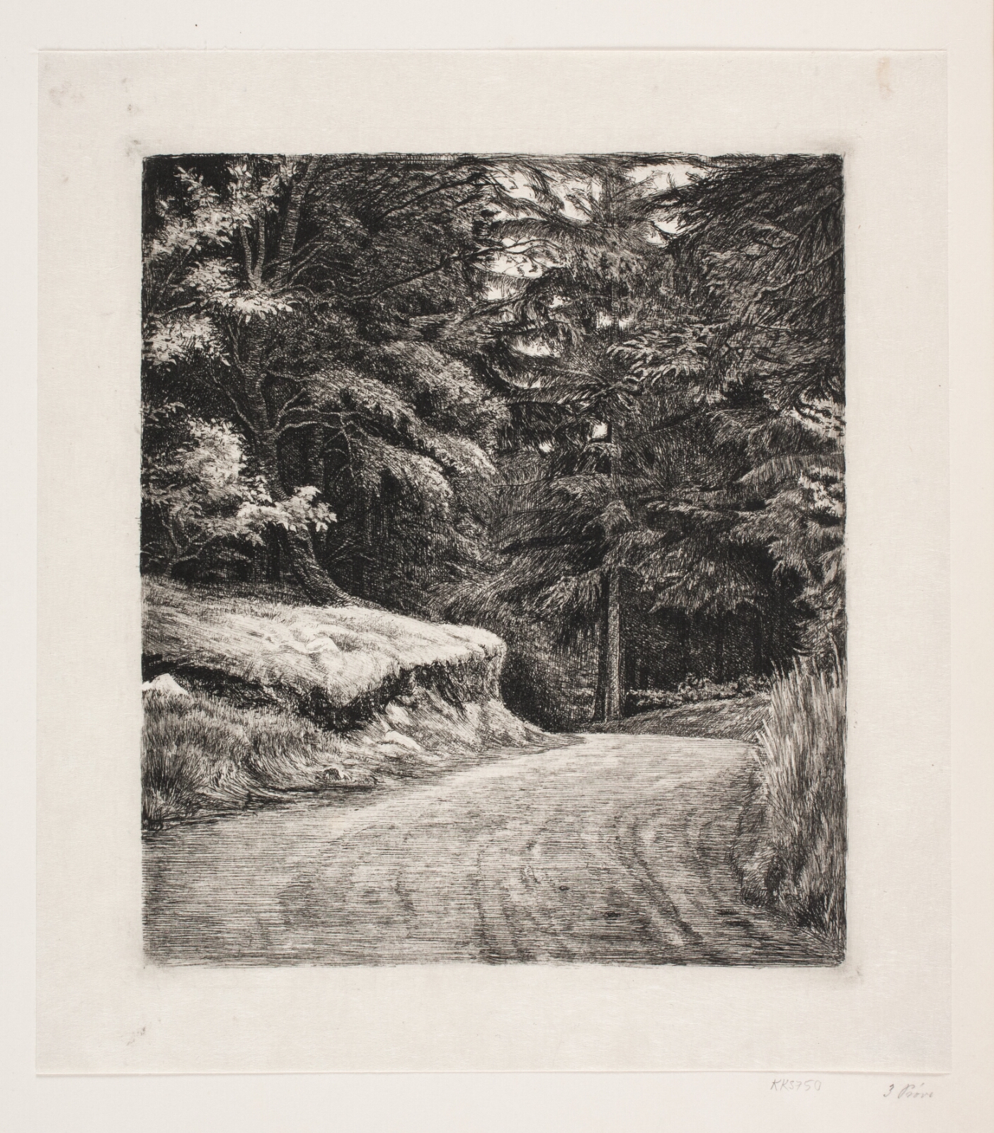 Carl Bloch, Vejen i Granskoven