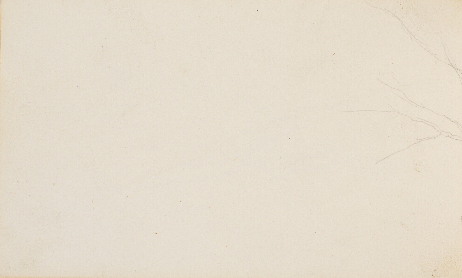 P.C. Skovgaard, Del af et træstudie (fra side 28)