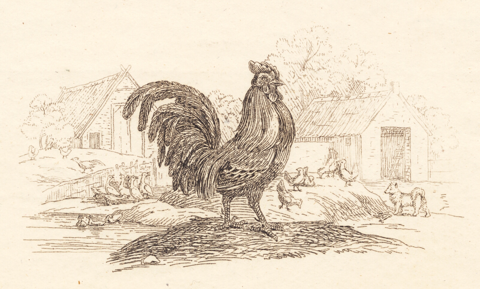 Martinus Rørbye, Illustration til "Halvhundrede Fabler for Børn" af Hey