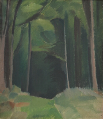 Inside the Wood