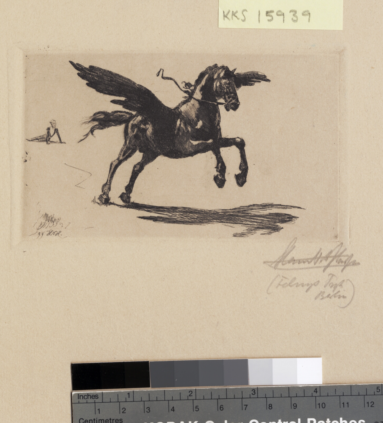 Hans Nikolaj Hansen, Pegasus