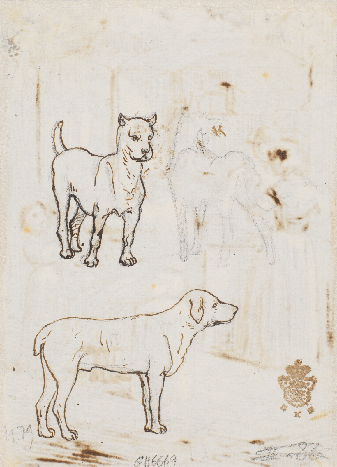 Wilhelm Marstrand, To hunde