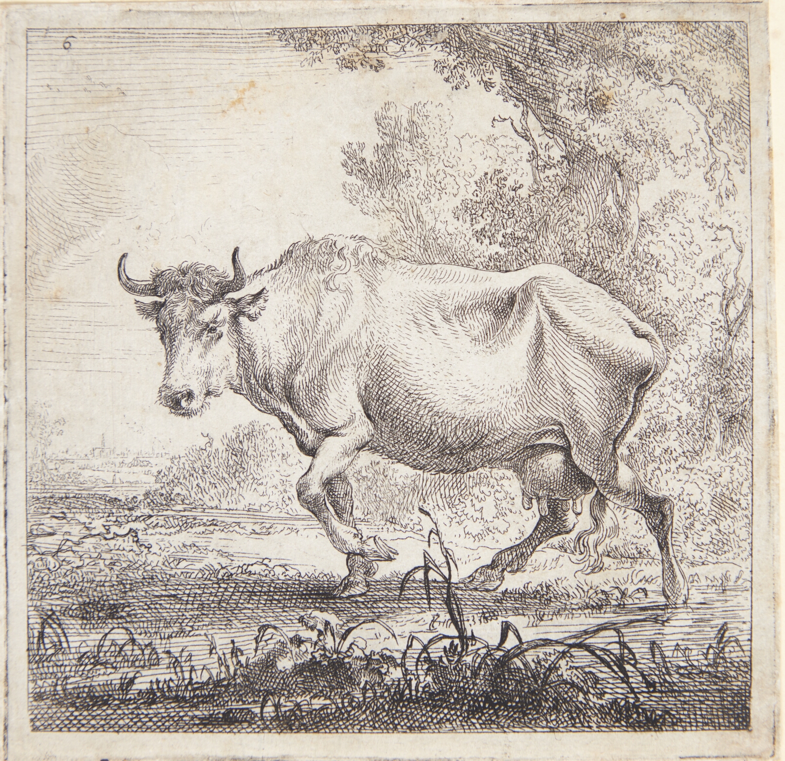 Nicolaes Berchem, Gående ko