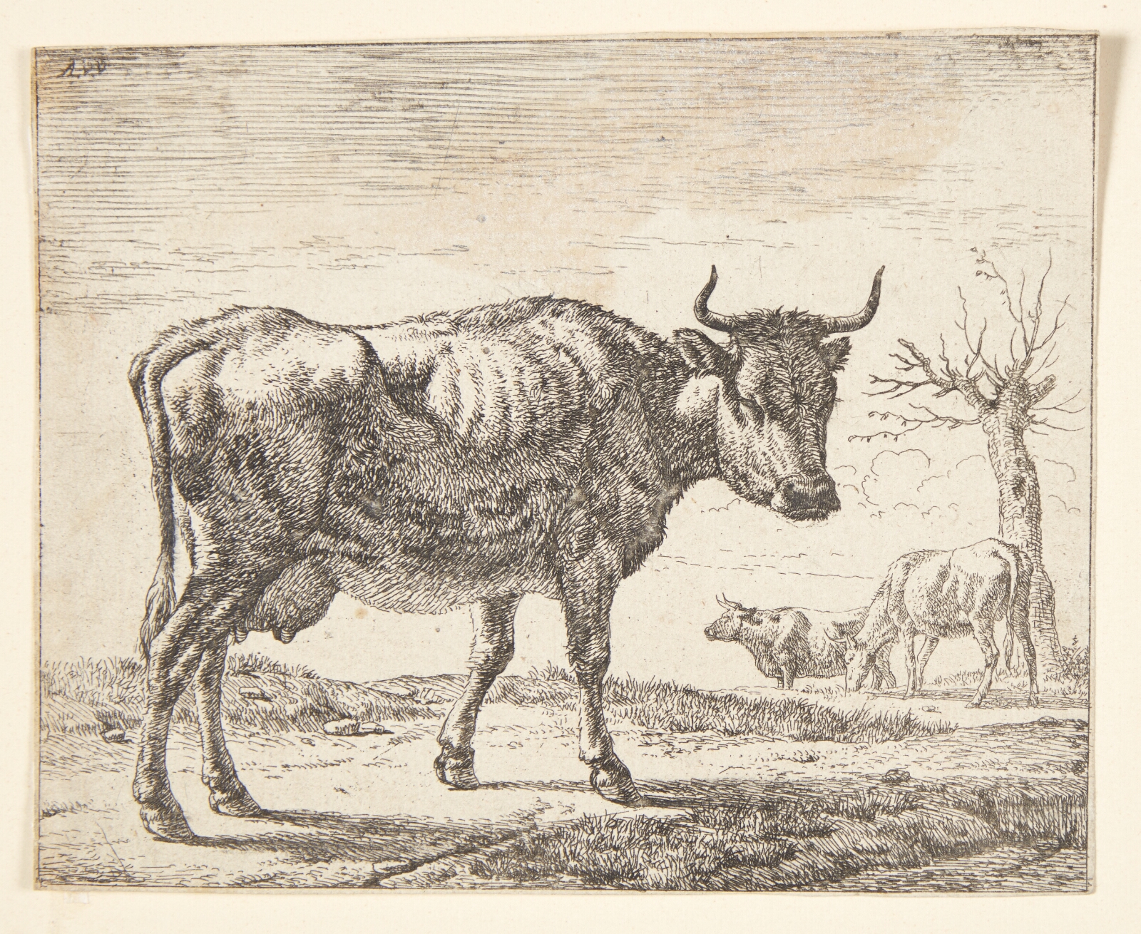 Adriaen van de Velde, Tre køer