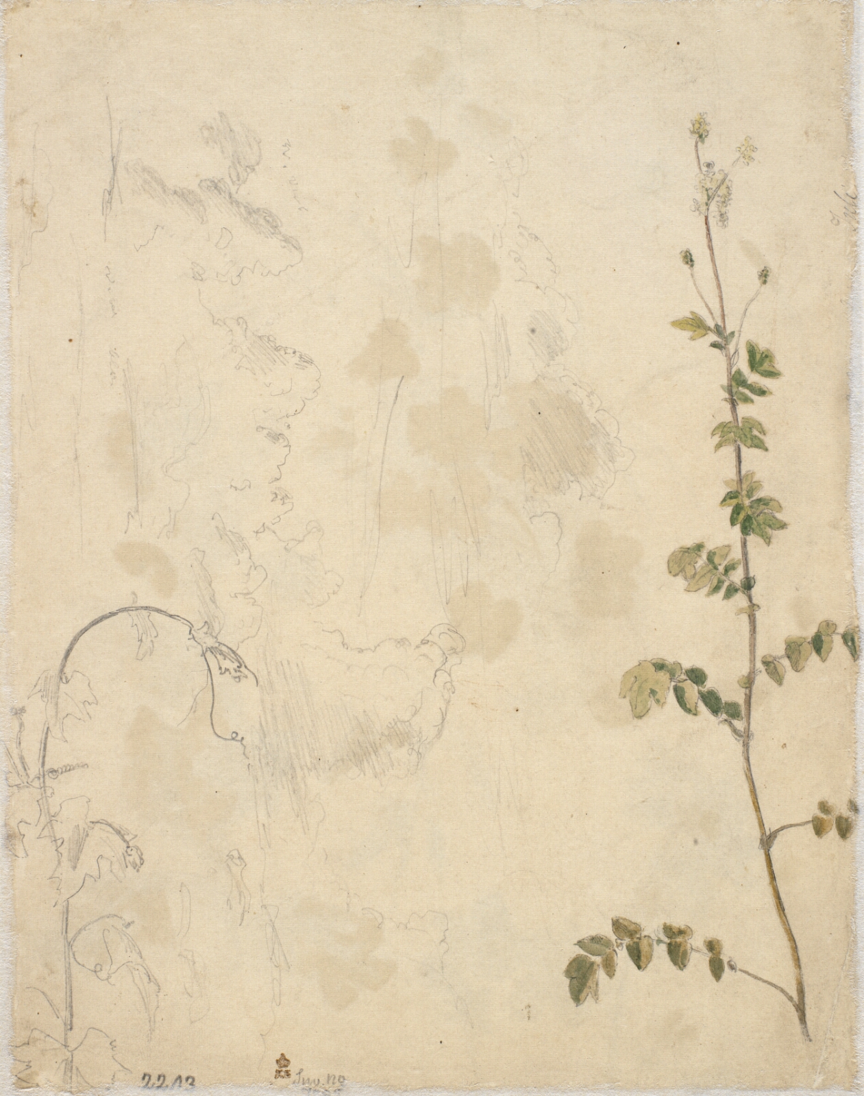 Dankvart Dreyer, Planter. En skyhimmel