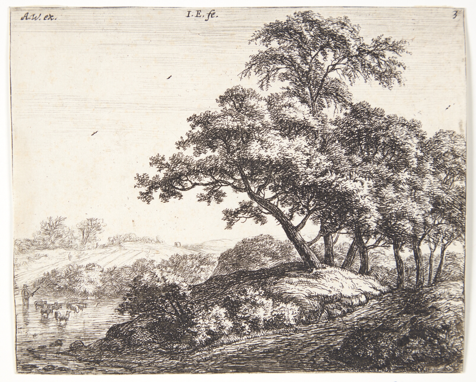 Jacob Esselens, Får, der krydser en flod
