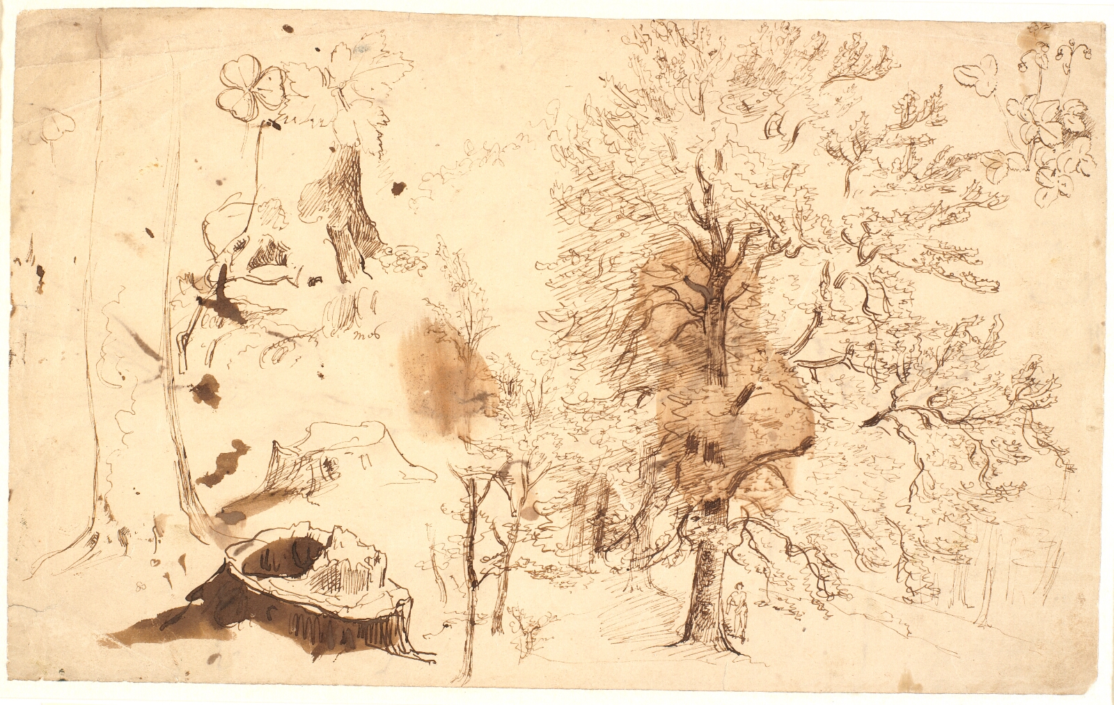 Dankvart Dreyer, Studie med træer, planter og stubbe