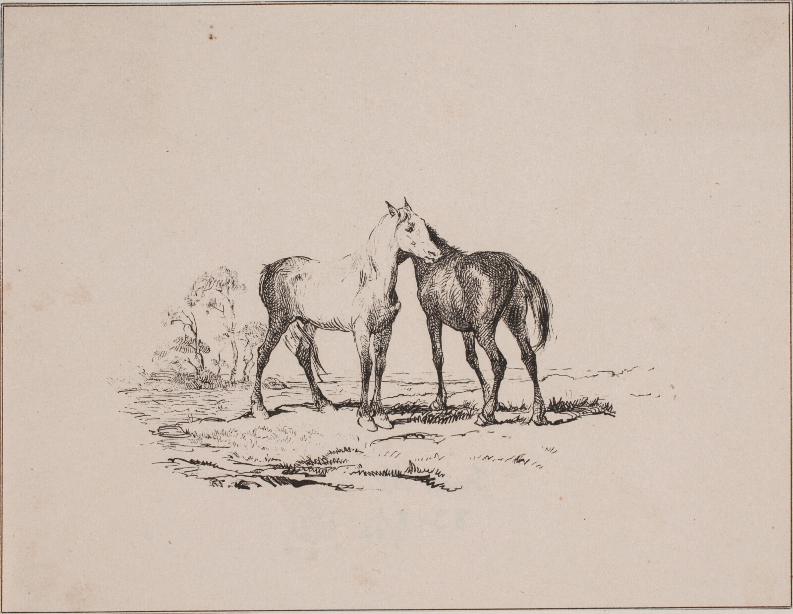 Adolph Kittendorff, De to heste
