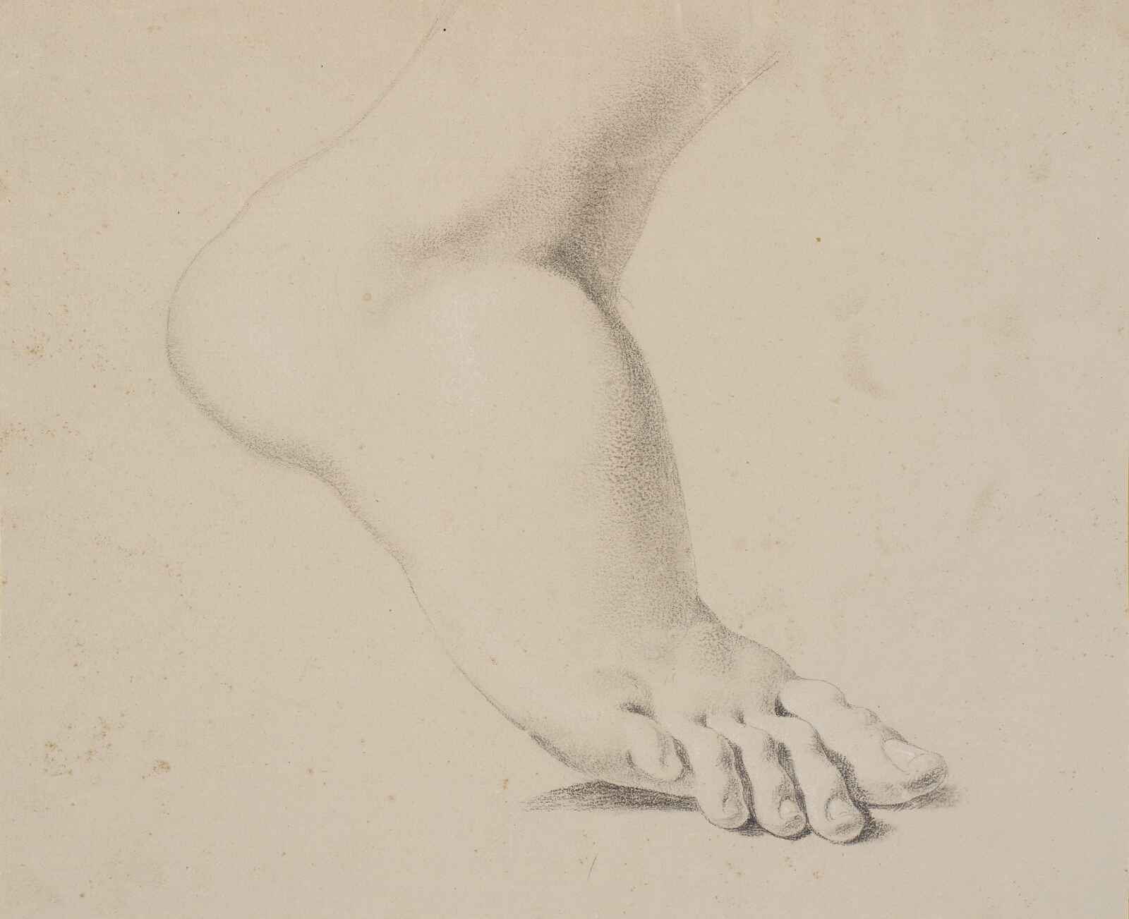 Nicolai Abildgaard, Studie af en fod